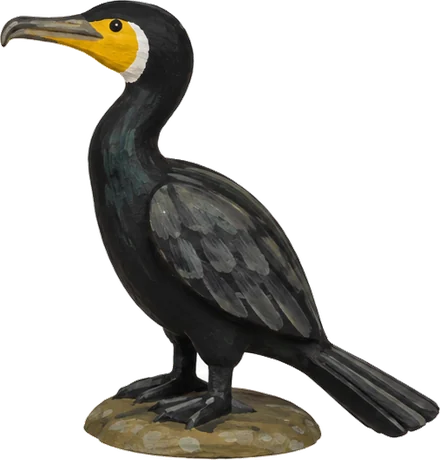 Cormoran 4poses (1).png