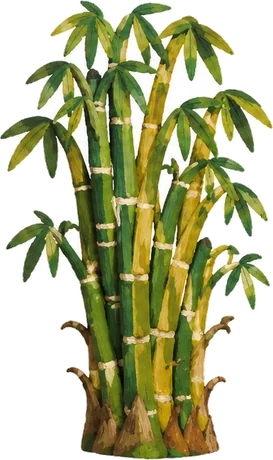 Guadua