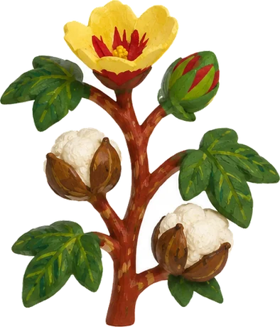 Algodon nativo